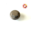Engine Oil Cap