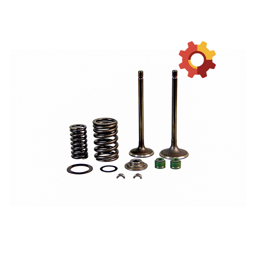 Engine Valve Kit